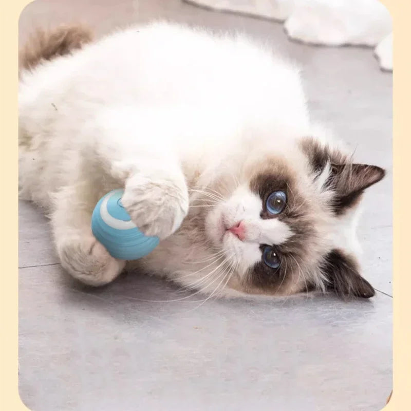 Smart Cat Rolling Ball Toys