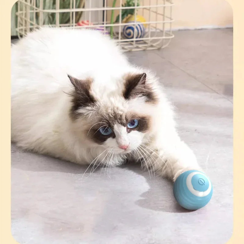Smart Cat Rolling Ball Toys